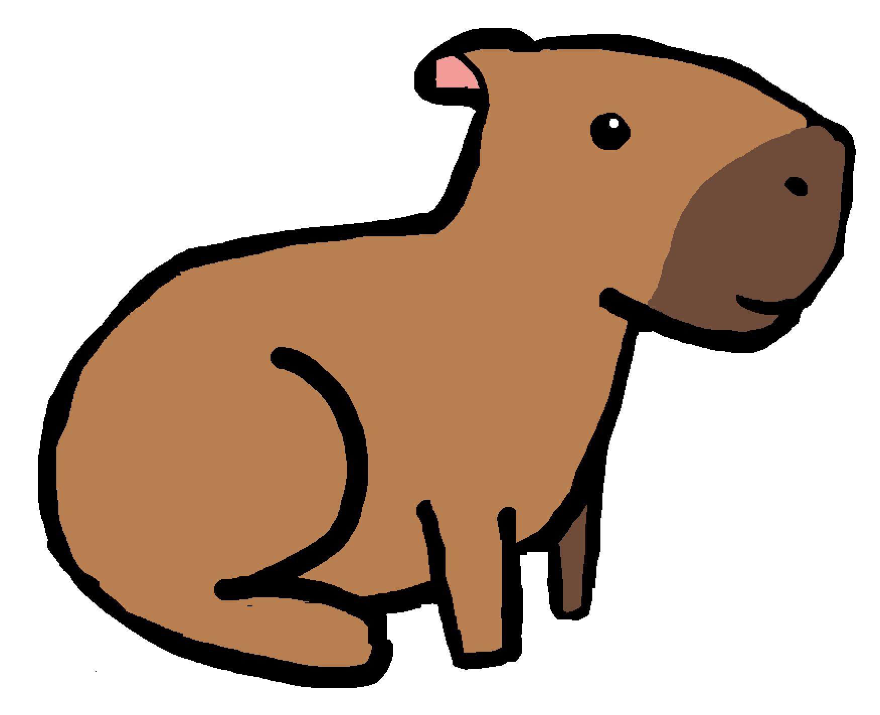 Caue's Capybara